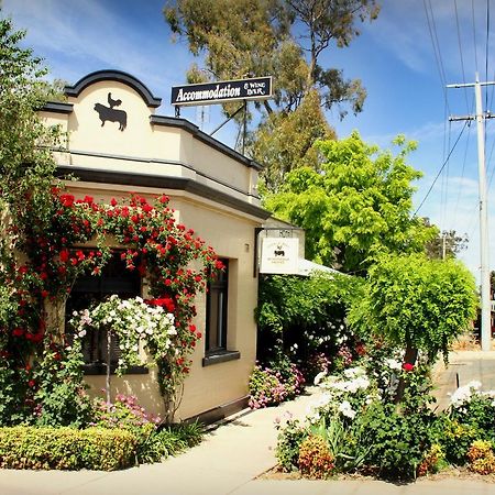 Cocknbull Boutique Hotel Echuca Exterior foto